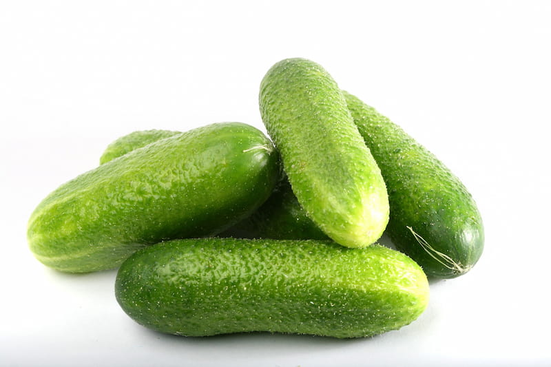 خیار سالادی بزرگ مناسب رستوران ها و آشپزخانه ها